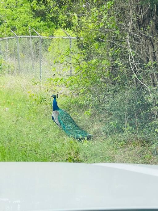 Вилла Bastrop Tiny Disc Golf Retreat Экстерьер фото